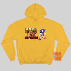 Sonic Of Course I Reply Fast I Got No Friends Hoodie