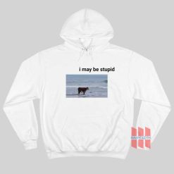 I May Be Stupid Cow on Beach Hoodie