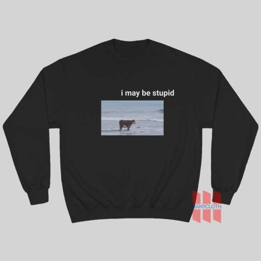 I May Be Stupid Cow on Beach Sweatshirt